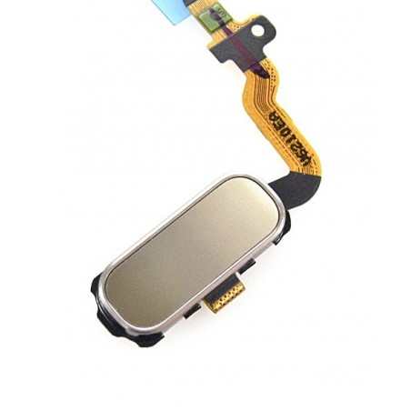 TASTO HOME SAMSUNG GALAXY S7 SM-G930 ORO