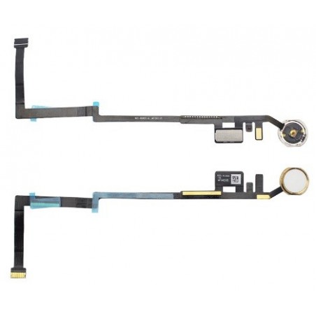 TASTO HOME APPLE IPAD 5 ORO