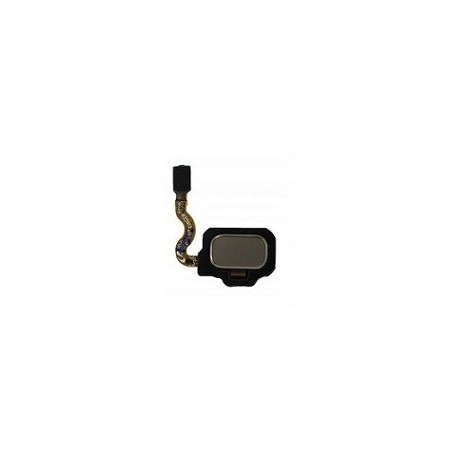 TASTO HOME SAMSUNG GALAXY S8 SM-G950 GOLD (ORO)