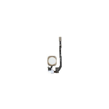 TASTO HOME APPLE IPHONE 5S ORO