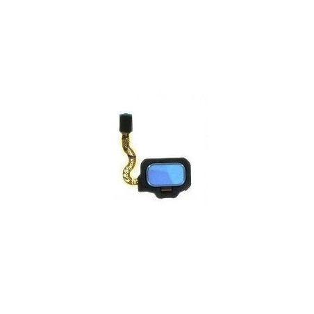 TASTO HOME SAMSUNG GALAXY S8 SM-G950 CORAL BLUE (BLU)