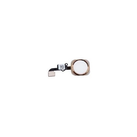 TASTO HOME APPLE IPHONE 6 ORO