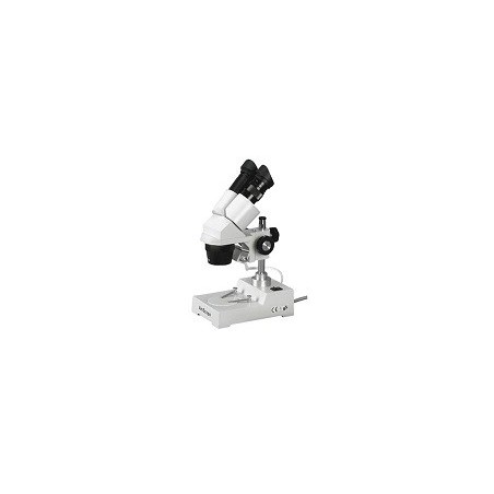 MICROSCOPIO AMSCOPE SE303-PX