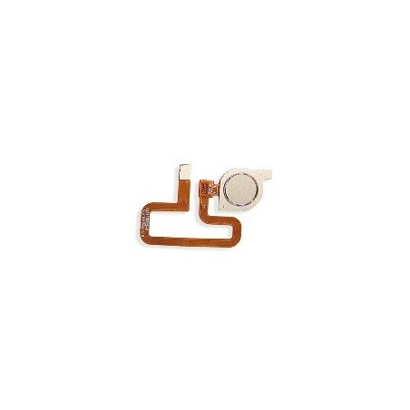 FLAT LETTORE IMPRONTA HUAWEI Y7 2018 ORO