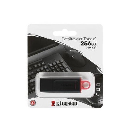 PENDRIVE 64GB USB KINGSTON DTX/256GB