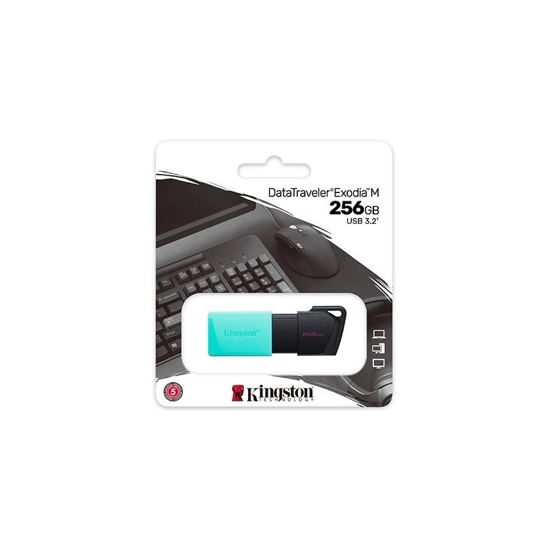 PENDRIVE 256GB USB KINGSTON DTXM/256GB