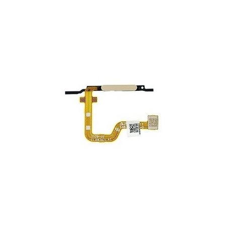 FLAT LETTORE IMPRONTA MOTOROLA MOTO G14 CREMA