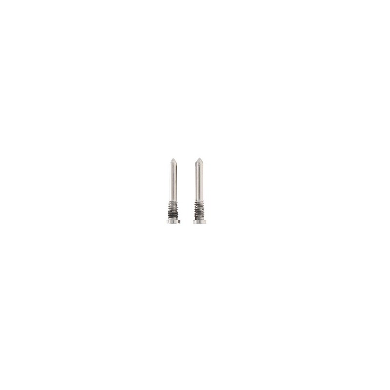 VITI TORX PENTALOBE APPLE IPHONE 17 PRO SILVER (SET 2 PZ.)