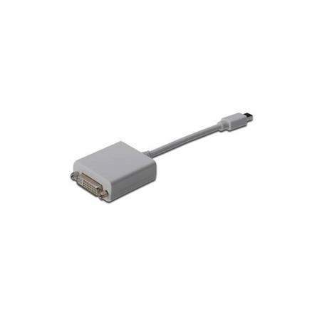 ADATTATORE MINI DISPLAYPORT M A DVI-I F CAVO 15CM CV0037